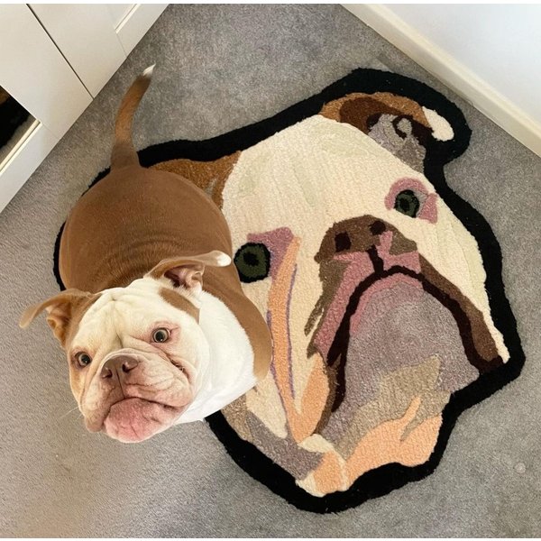 Custom Pet Portrait Rug, Personalized Pet Rug-image