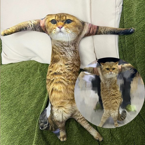 Weird Pet Pillow, Custom Cat Pillow, Personalized Pet Pic Pillow-image