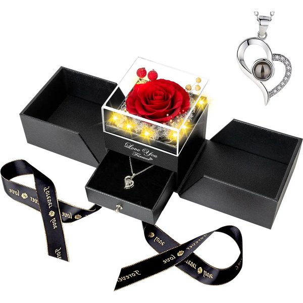 Preserved Red Real Rose With I Love You Necklace-image