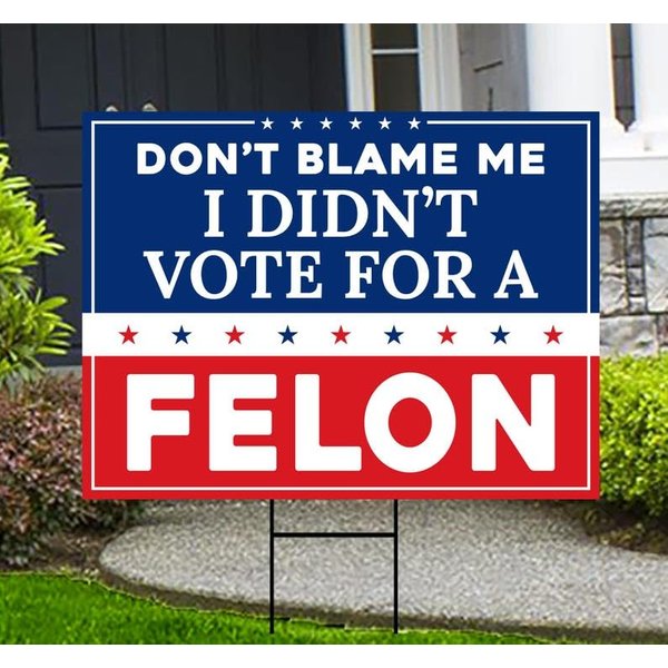 Don't Blame Me I Didn't Vote For A Felon Yard Sign - Resist Hate, Anti-Trump-image
