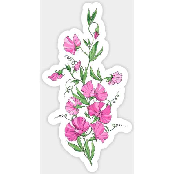 A Bouquet Of Sweet Pea Flowers - Sweet Pea - Sticker-image