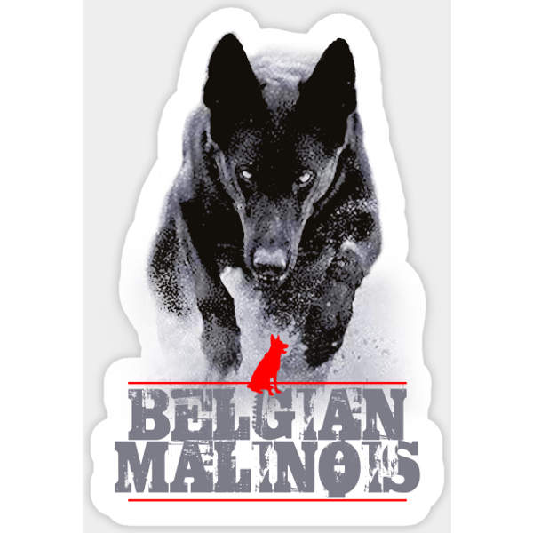 Belgian Malinois - Belgian Malinois - Sticker-image