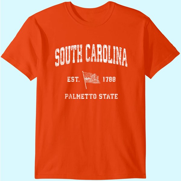 South Carolina Sc Vintage Us Flag Sports Design T Shirt-image