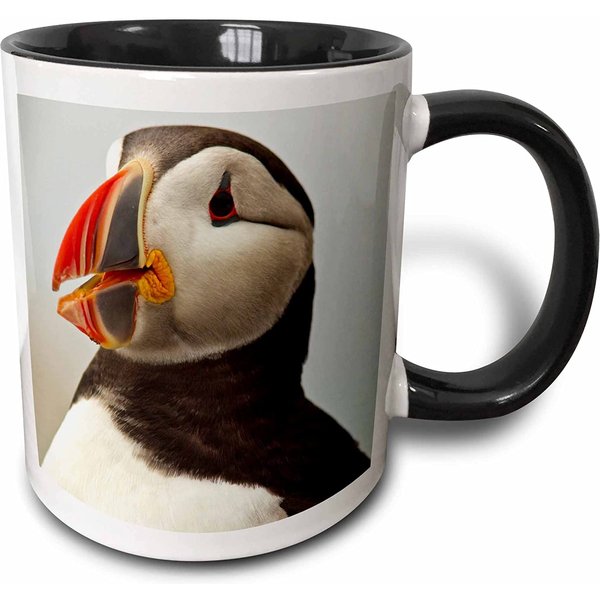 Atlantic Puffins, Machias Seal Island, Cutler, Maine-us20 Cha0008-chuck Haney Two Tone Mug Black/white