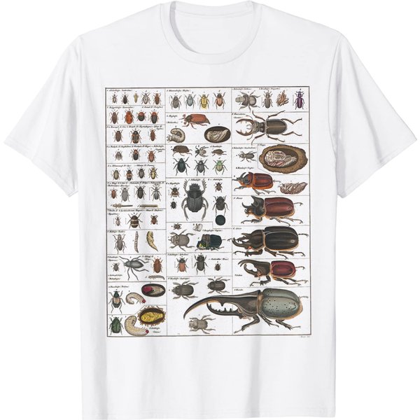 Insects Collection Species Bugs Vintage Chart Entomology T-Shirt-image
