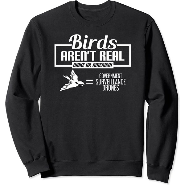 Birds Aren't Real Wake Up, Amercia! Sweatshirt-image