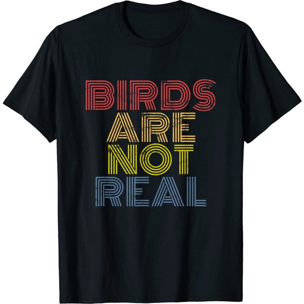 Birds Are Not Real Conspiracy Theory T-Shirt-image