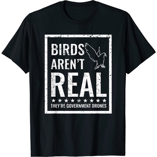 Birds Aren't Real They'r Government Drones T-Shirt-image