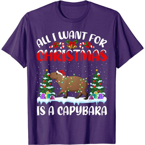 Funny Santa Hat All I Want For Christmas Is A Capybara T-Shirt-image