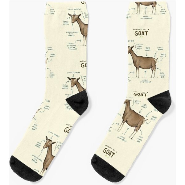 Anatomy Of A Goat Socks-image