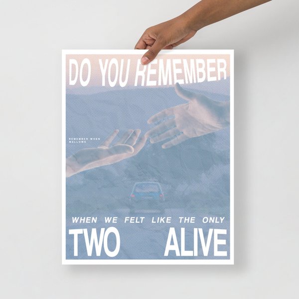 Wallows Poster | Remember When Wallows-image
