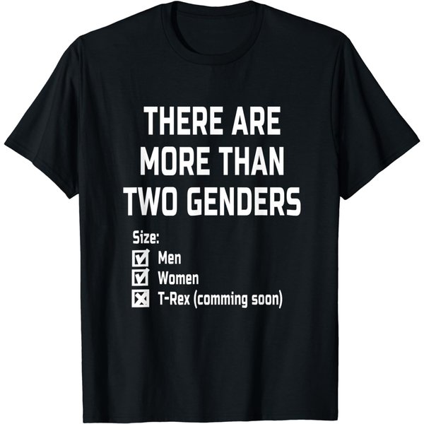 There Are More Than Two Genders Lgbt Gift T-Shirt-image