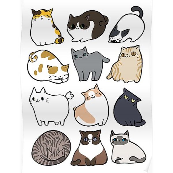 Cats Cats Cats Poster