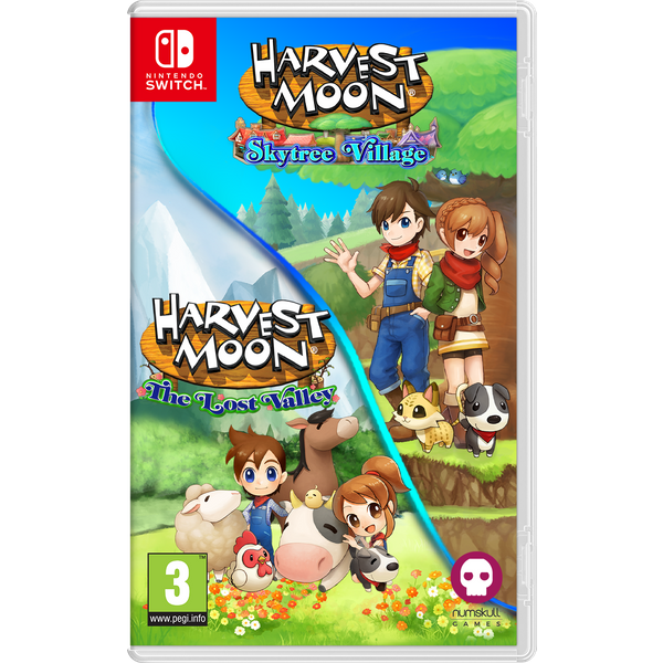 Harvest Moon The Lost Valley y Skytree Village