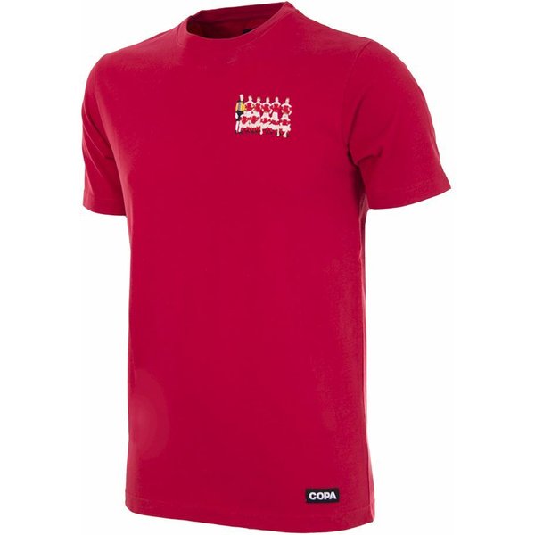 T-Shirt Danemark Champions D'europe 1992-image