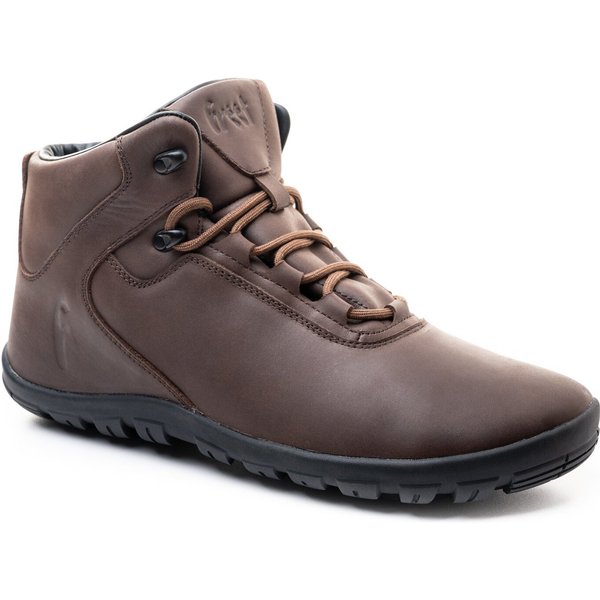 Hiking Trainers Freet Ibex