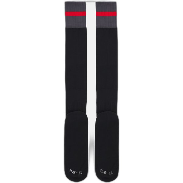 Chaussettes Training Pays De Galles Xv 2022/23-image