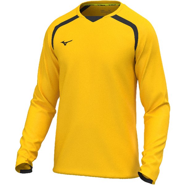 Maillot manches longues Mizuno Team