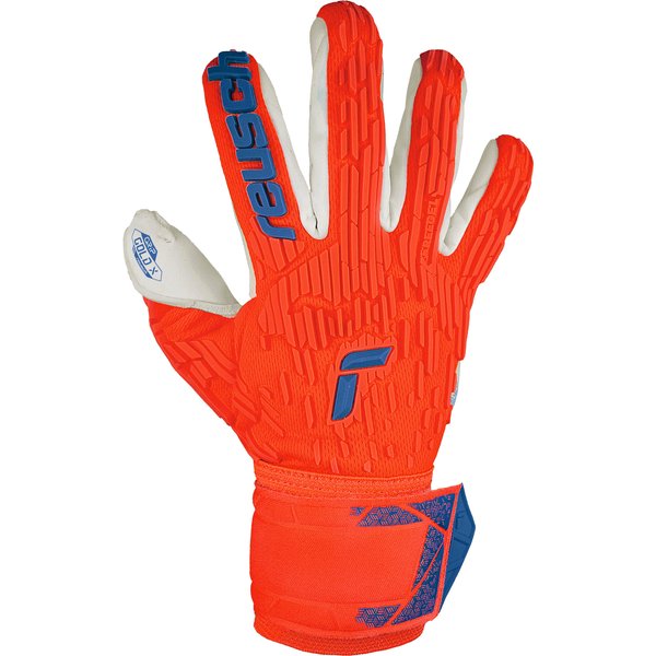 Gants De Gardien Reusch Attrakt Gold X Freegel-image