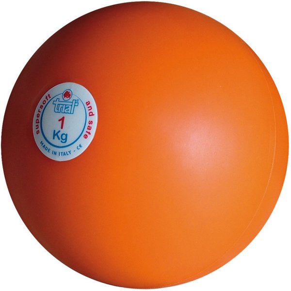 Indoor throwing weights Trial