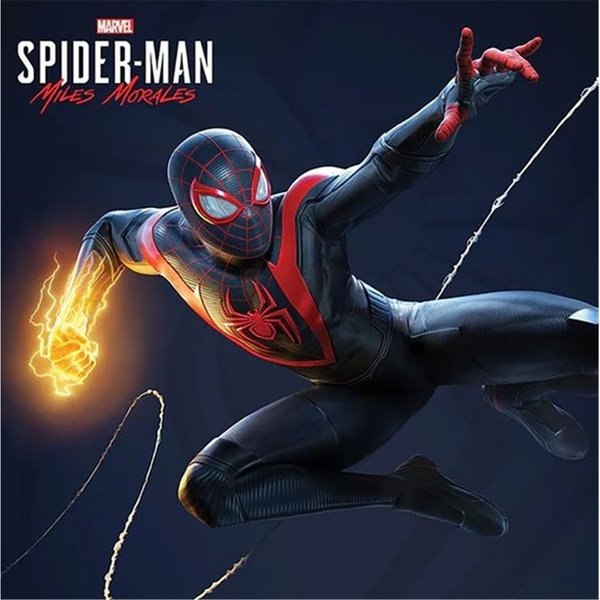 Cadre Toile EncadréE Enfant World Trade And Technologies Spider-Man-image