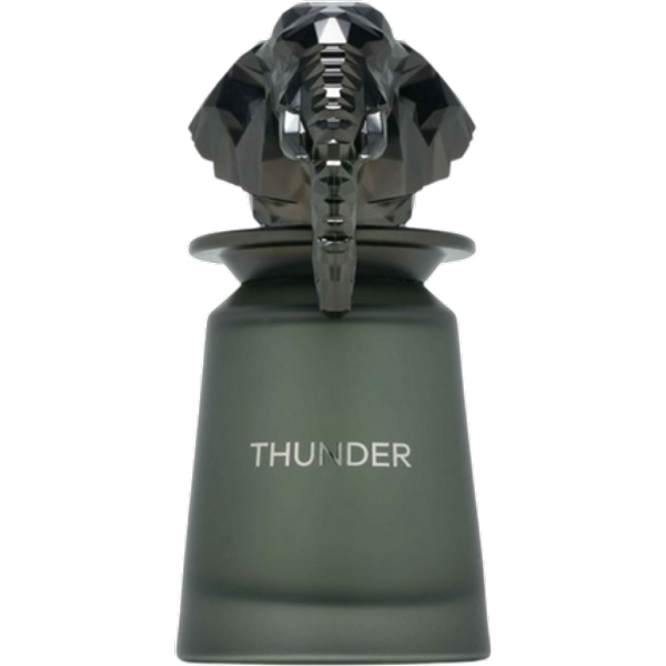 French Avenue Thunder Unisex Eau De Parfum - 100 ml