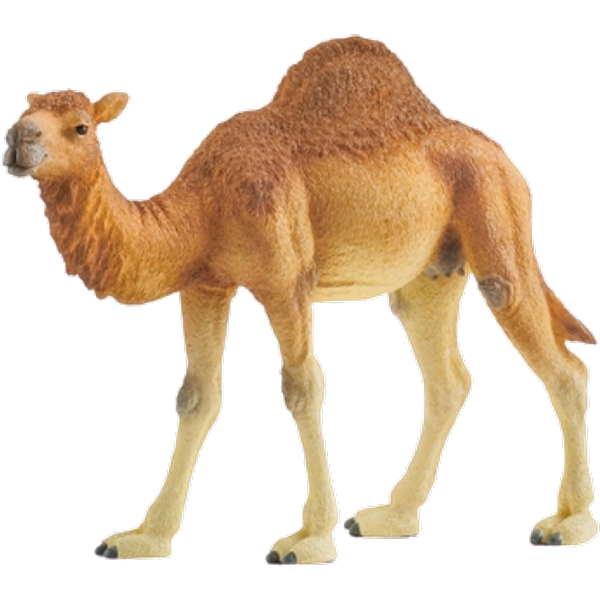 Schleich Dromedary - 14832