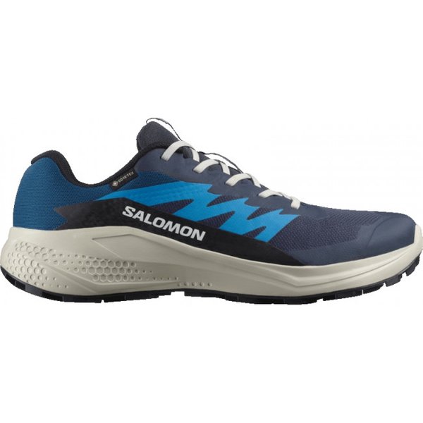 Salomon Alphaglide GTX, Laufschuhe, Herren, blau