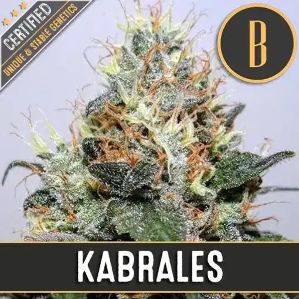 Kabrales - Seeds Pack: 9-samen