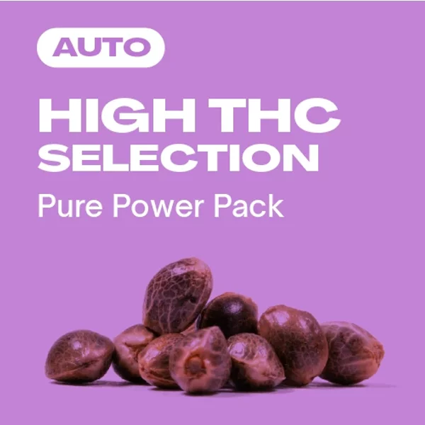 High THC Kollektion Auto - Seeds Pack: 9-samen
