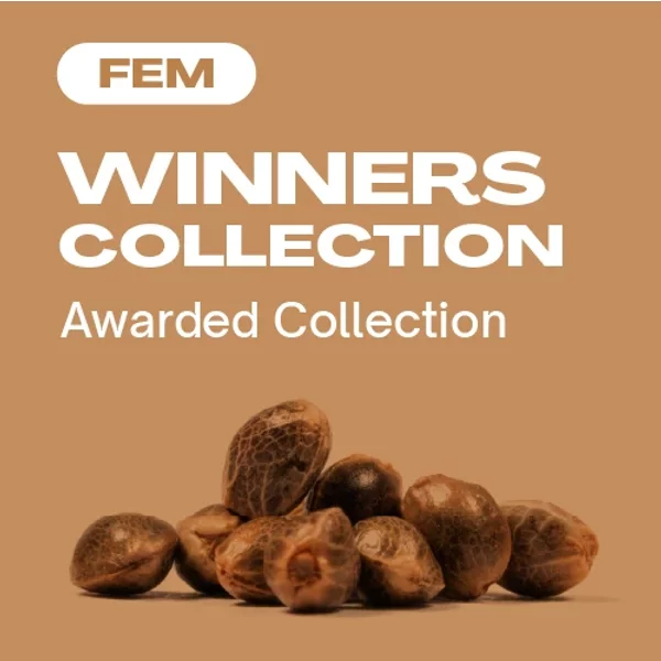 Winners Kollektion - Seeds Pack: 9-samen