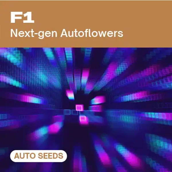 F1 AUTO - Seeds Pack: 9-samen