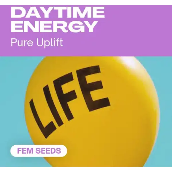 Daytime Energy - Seeds Pack: 3-samen