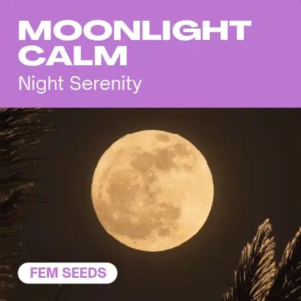 Moonlight Calm - Seeds Pack: 18-samen