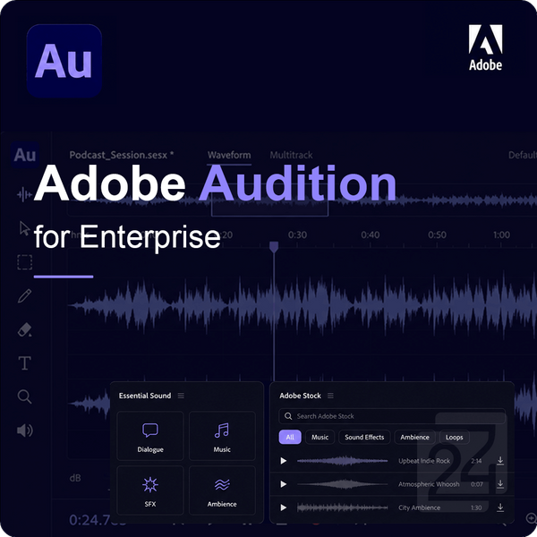 Adobe Audition For Enterprise Gouvernment (Gov) 100+ Utente/I-image