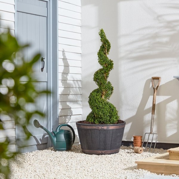 Strata Extra Large Oakwood Barrel Planter GN654