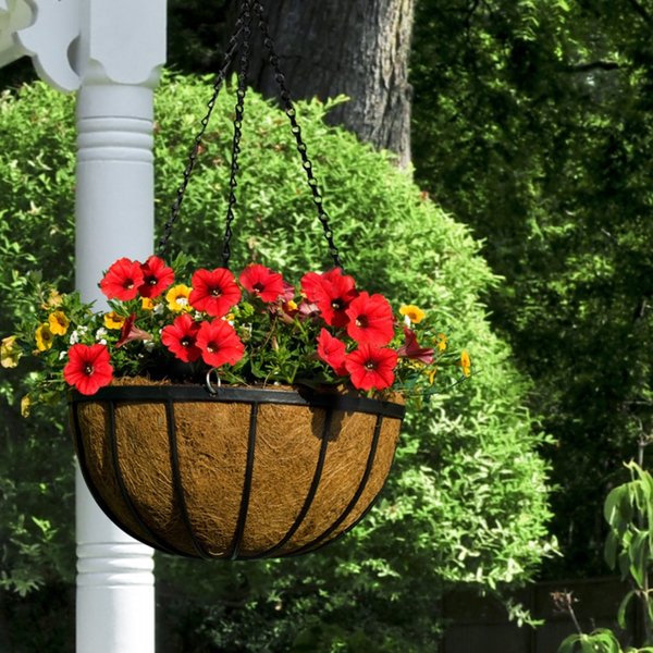 Ambassador Flat Bar Hanging Basket AFBHB14