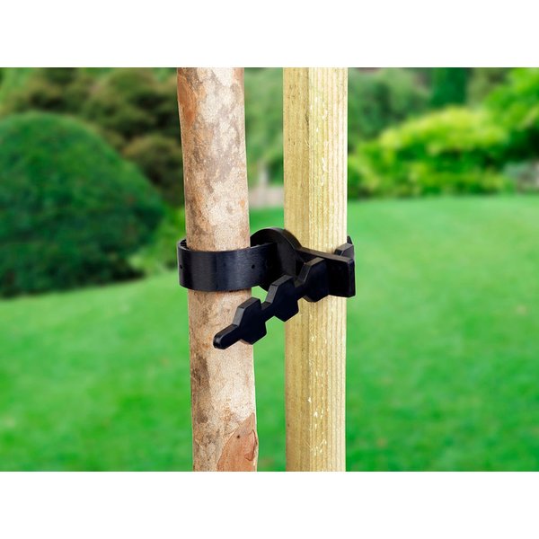Ambassador Tree Tie SGS112