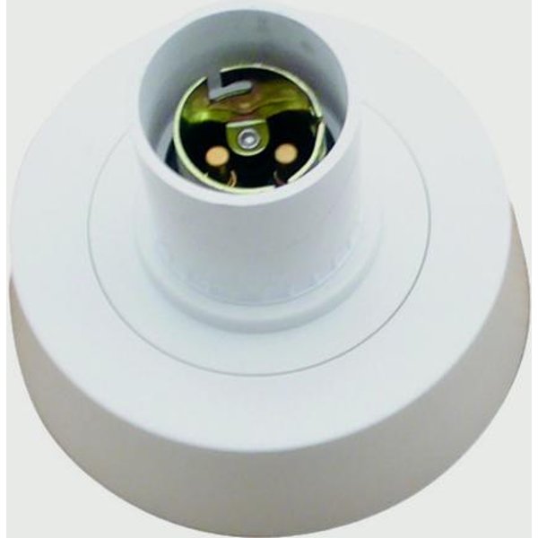 Securlec T2 Ceiling Rose Base Batten Lampholder SL9036