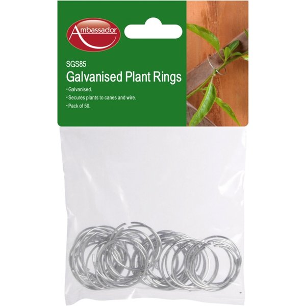 Ambassador Galvanised Plant Rings SGS85A
