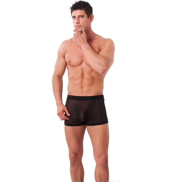 Public Enemy - Black Sheer Shorts