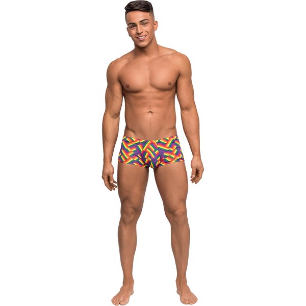 Pride Fest - Mini Short - Medium - Print