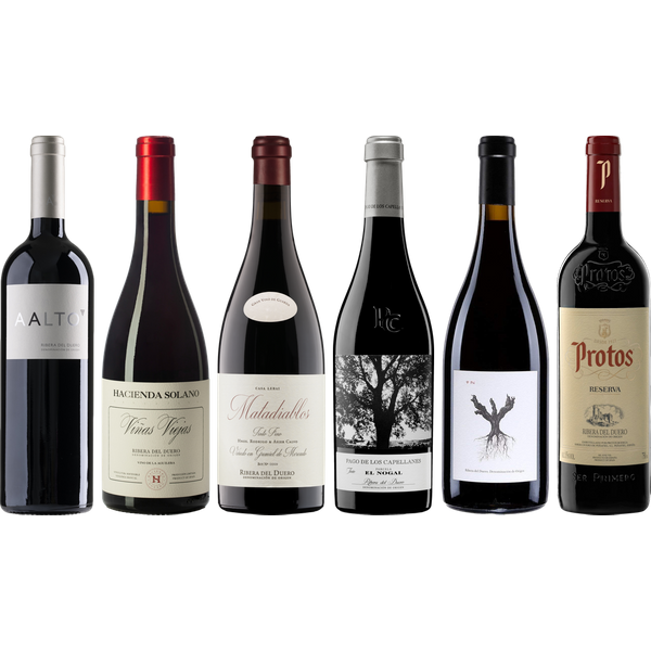 Ribera del Duero Premium Tasting Case