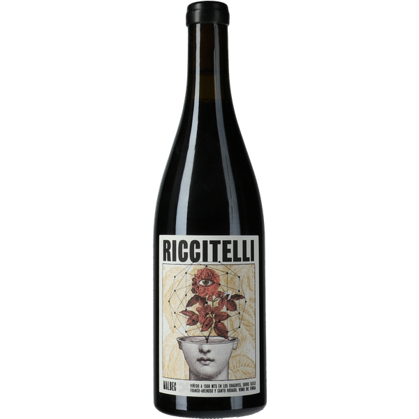 Matias Riccitelli Vinas Extremas Los Chacayes Malbec 2019