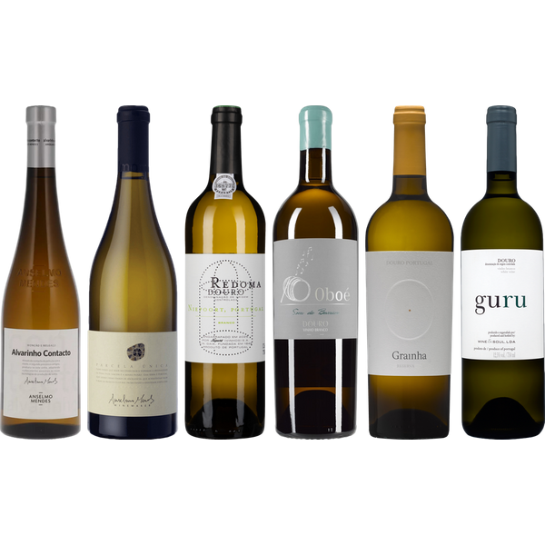Portugiesischer Weißwein Premium Verkostungsset