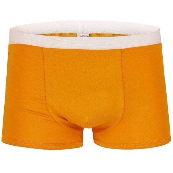 Frija Omina in 6 Farben: Trunk Shorts hell