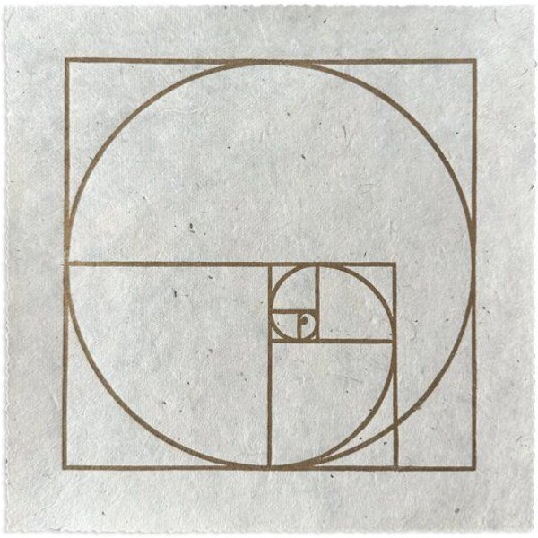 Veskor Cassiopeia FIBONACCI SEQUENZ Heilige Geometrie Linoldruck | 22 × 22 cm | Gold auf Naturweiß