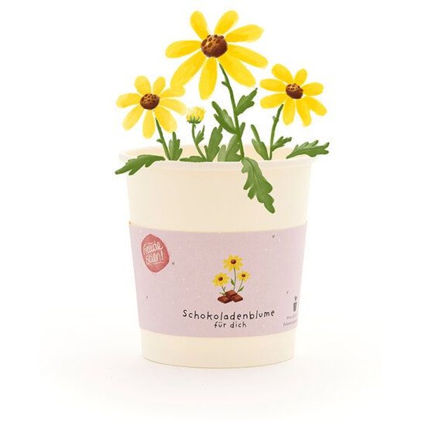 Die Stadtgärtner Schokoblumen-Anzuchtset als besonderes Geschenk | Nachhaltige Geschenkidee zum Geburtstags, für Erzieher, als Mitbringsel für Naschkatzen