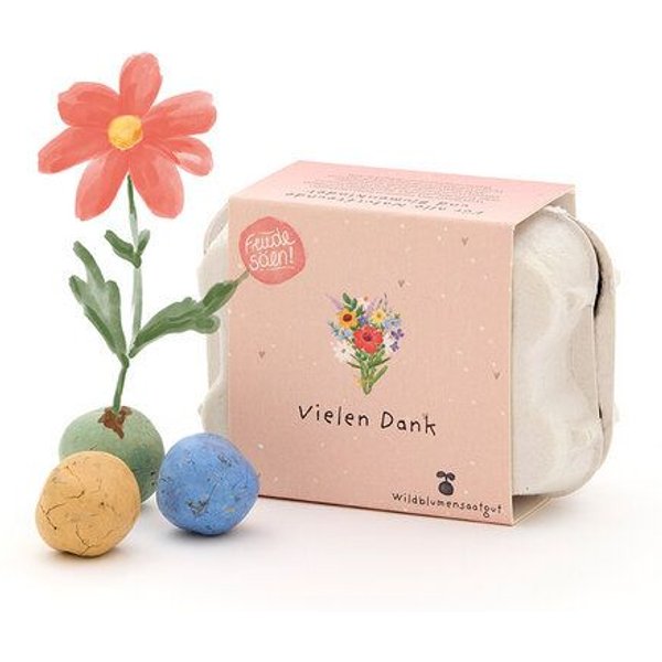 Die Stadtgärtner 6 bunte Saatkugeln mit Wildblumen-Saatgut im Mini-Eierkarton l Nachhaltige Geschenkidee als Gastgeschenk, Dankeschön & zum Abschied