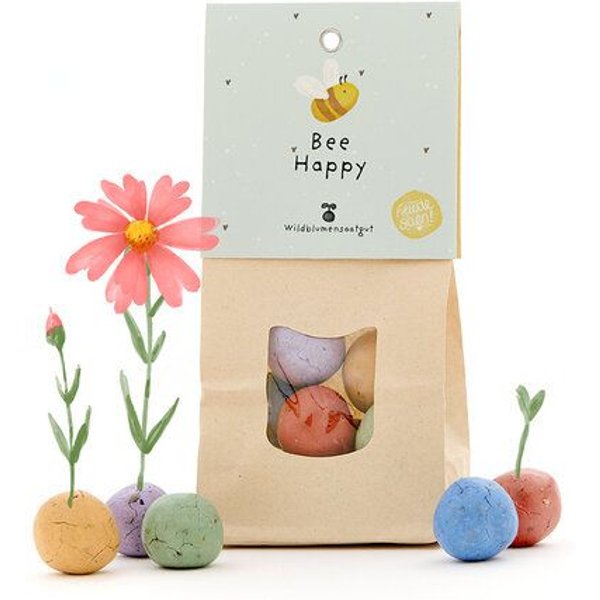 Die Stadtgärtner 8 Wildblumen-Saatkugeln als kreatives Geschenk | Geschenkidee für Geburtstage, als Dankeschön & als Mutmacher